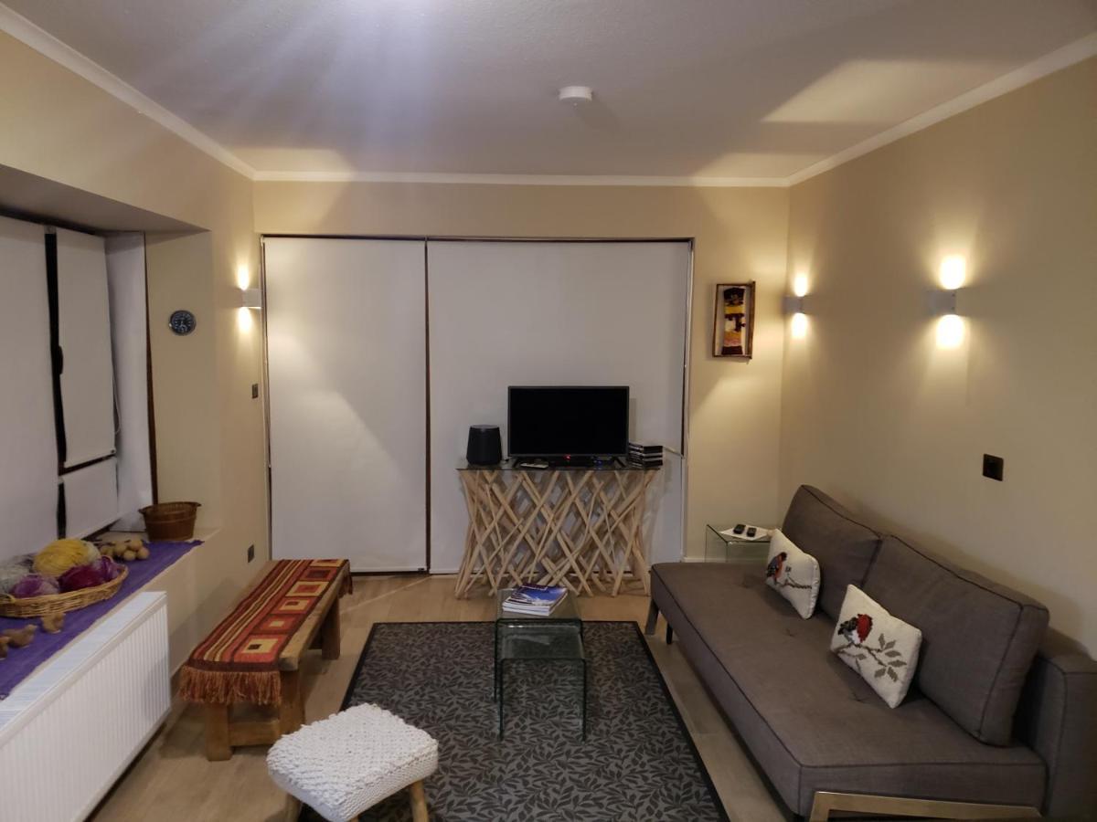 Valle Nevado Vip Apartment Ski Out-In 外观 照片
